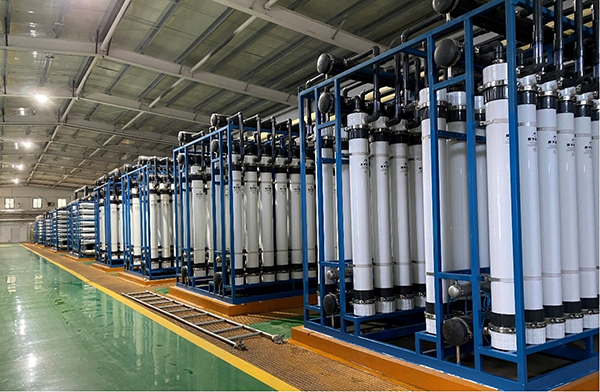 1642063282443936.jpg 8.jpg